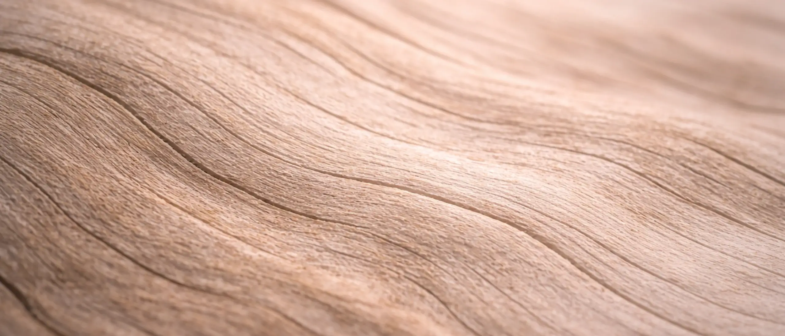 Macro photo of wood grain