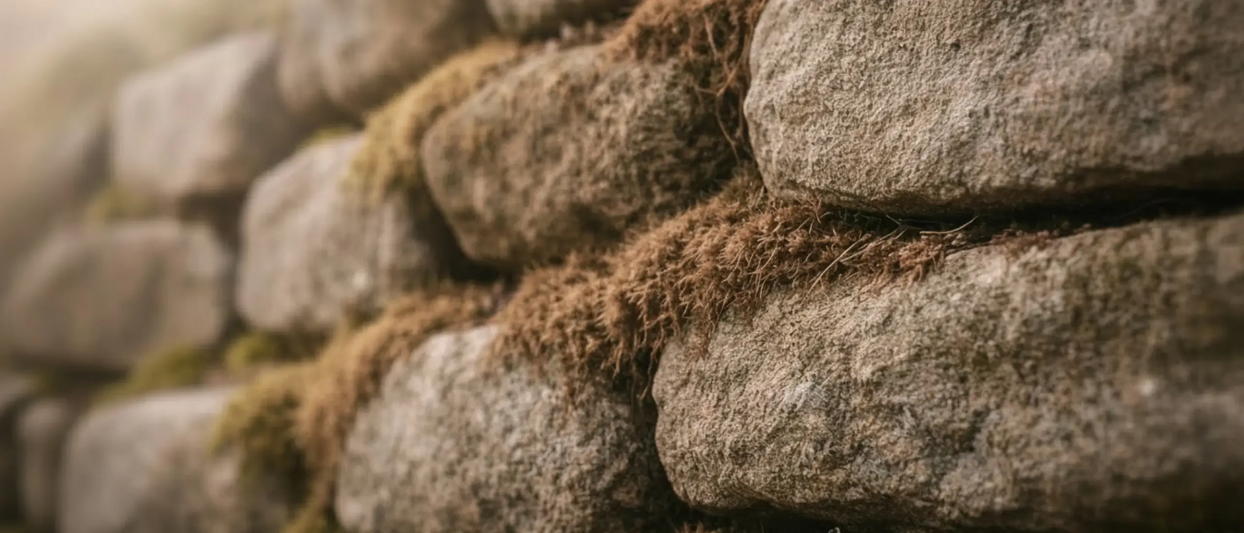 Ancient brickwork and moss
