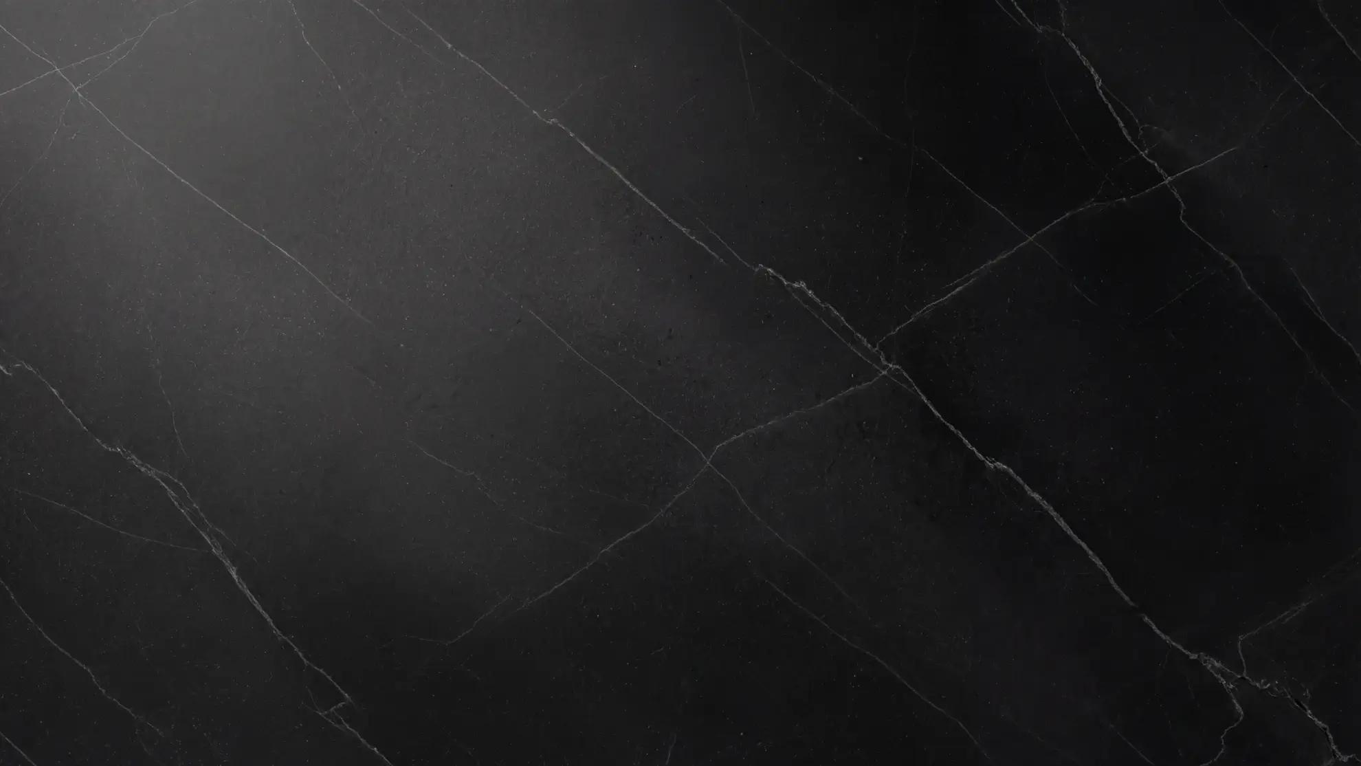 Close-up of black marble with fine natural veining, used as a background image to reflect Protirus’s focus on strong foundations and resilience.