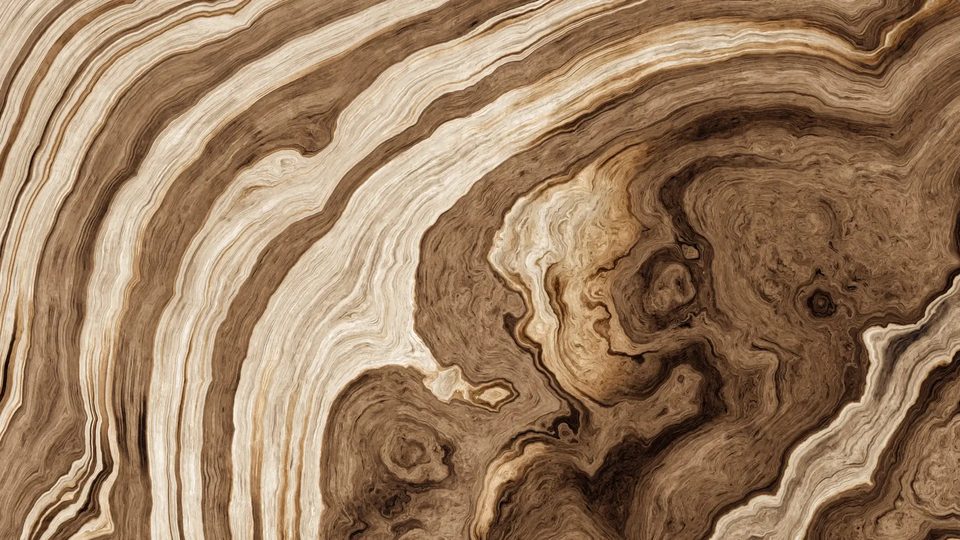 Close-up of natural wood grain showing flowing, layered patterns in rich brown and cream tones with intricate organic textures. The image is used on the Protirus website to reflect the depth, history, and layered complexity that enterprise cybersecurity experts work within when strengthening large organisations