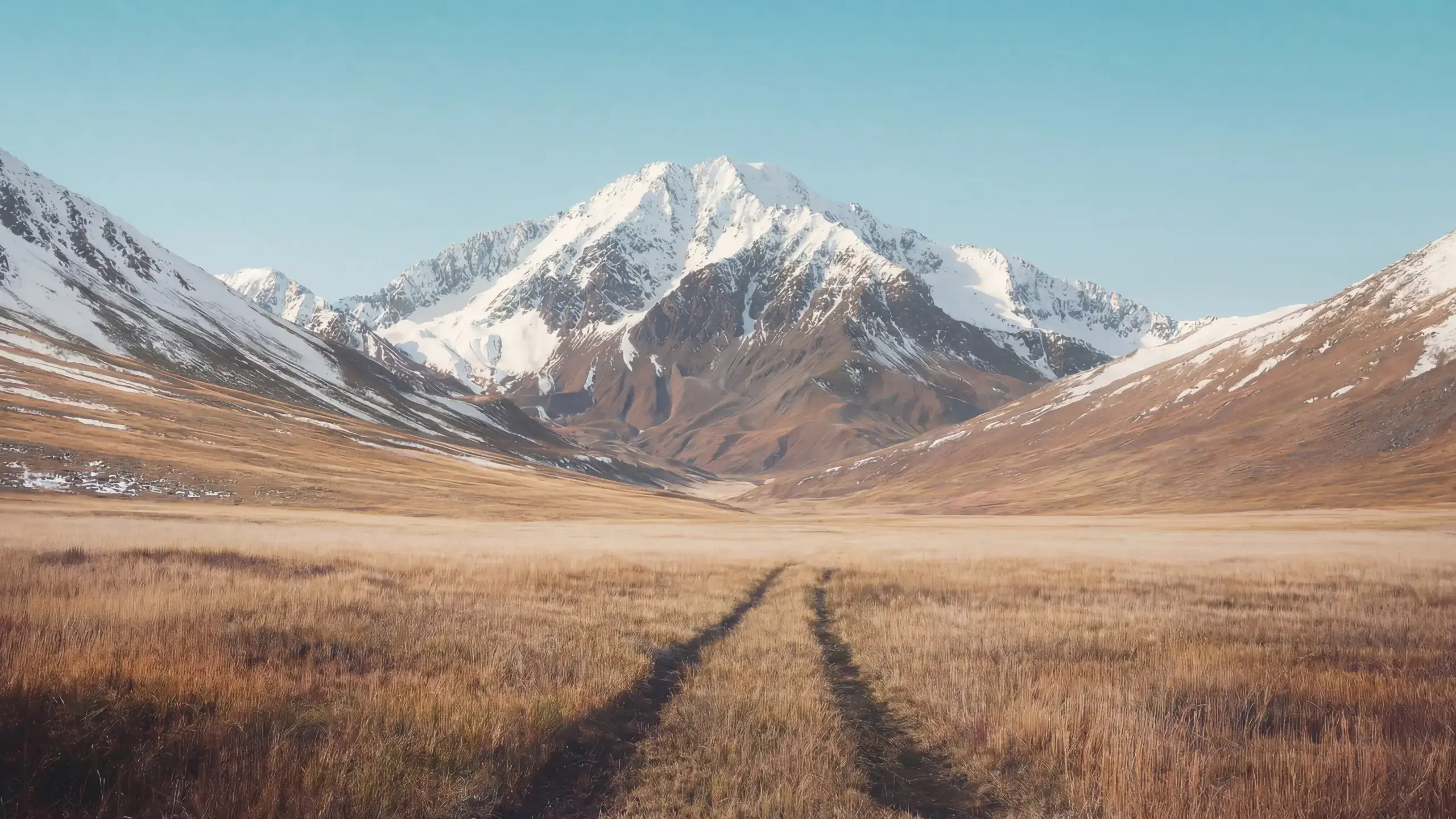 Wide mountain landscape with snow-capped peaks and an open meadow in the foreground, used on the Protirus Who we are page to reflect the long-term perspective of Protirus as enterprise cybersecurity experts.