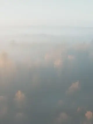 Misty forest landscape with soft light and depth, conveying clarity emerging from complexity in enterprise cybersecurity consultancy