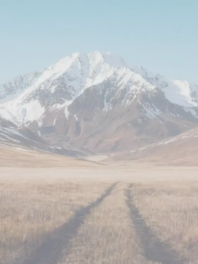 Snow-capped mountain above an open valley with a track leading forward, conveying clarity and direction in enterprise cybersecurity consultancy.